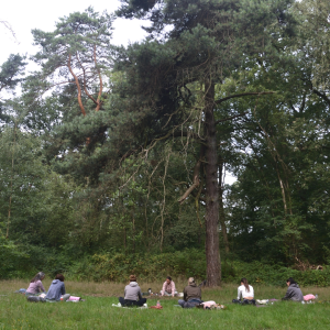 cacao yoga
